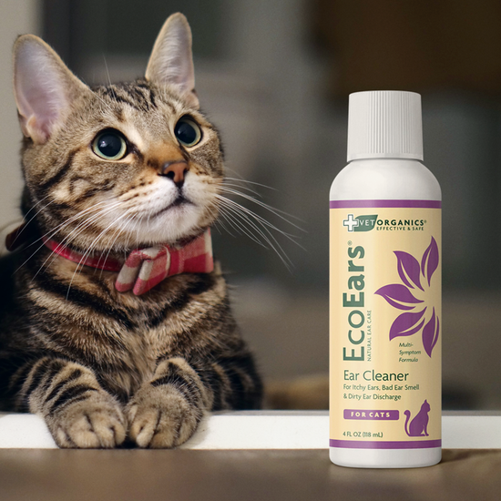 EcoEars Cat Ear Cleaner - Infection Formula, 4-oz bottle – Vet Organics