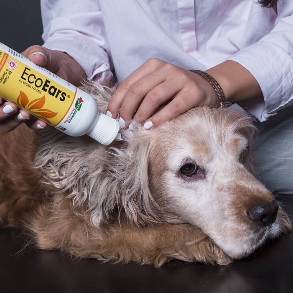 Best dog clearance ear infection drops